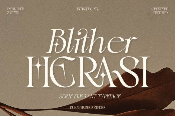 Blither Herasi Font for Business